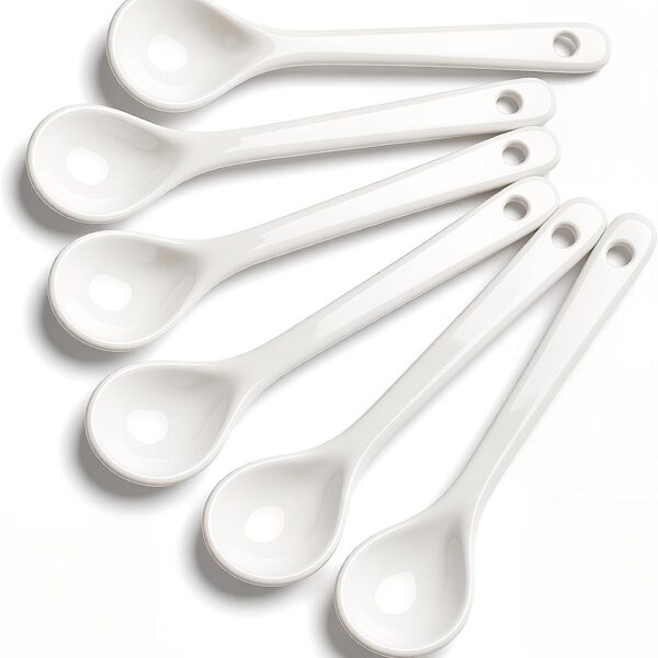 Small Seasoning Jar Spoon Set (6-Piece), For Salt, Sugar, And Honey